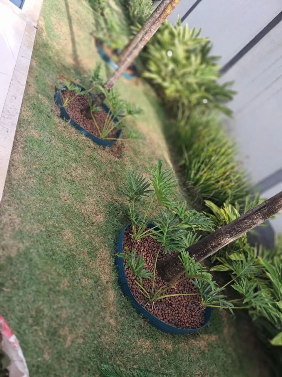 ? SERVIÇOS DE JARDINAGEM E MANUTENÇÃO ? - Foto 5