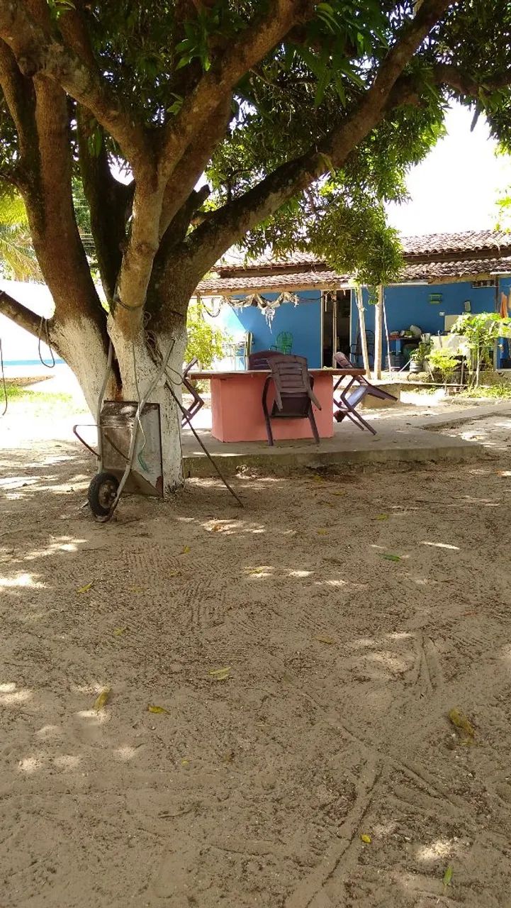 VENDO SITIO COLÔNIA RIO FUNDO III - Foto 4