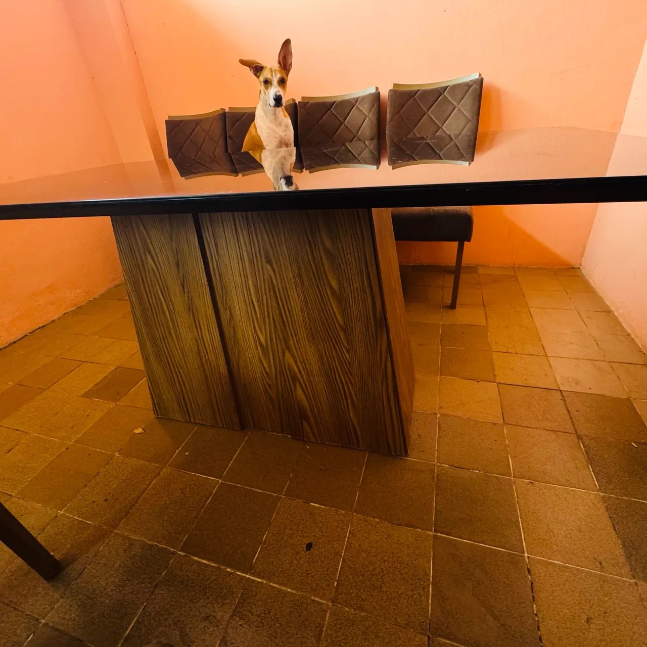 Mesa de jantar 6 cadeiras  - Foto 4