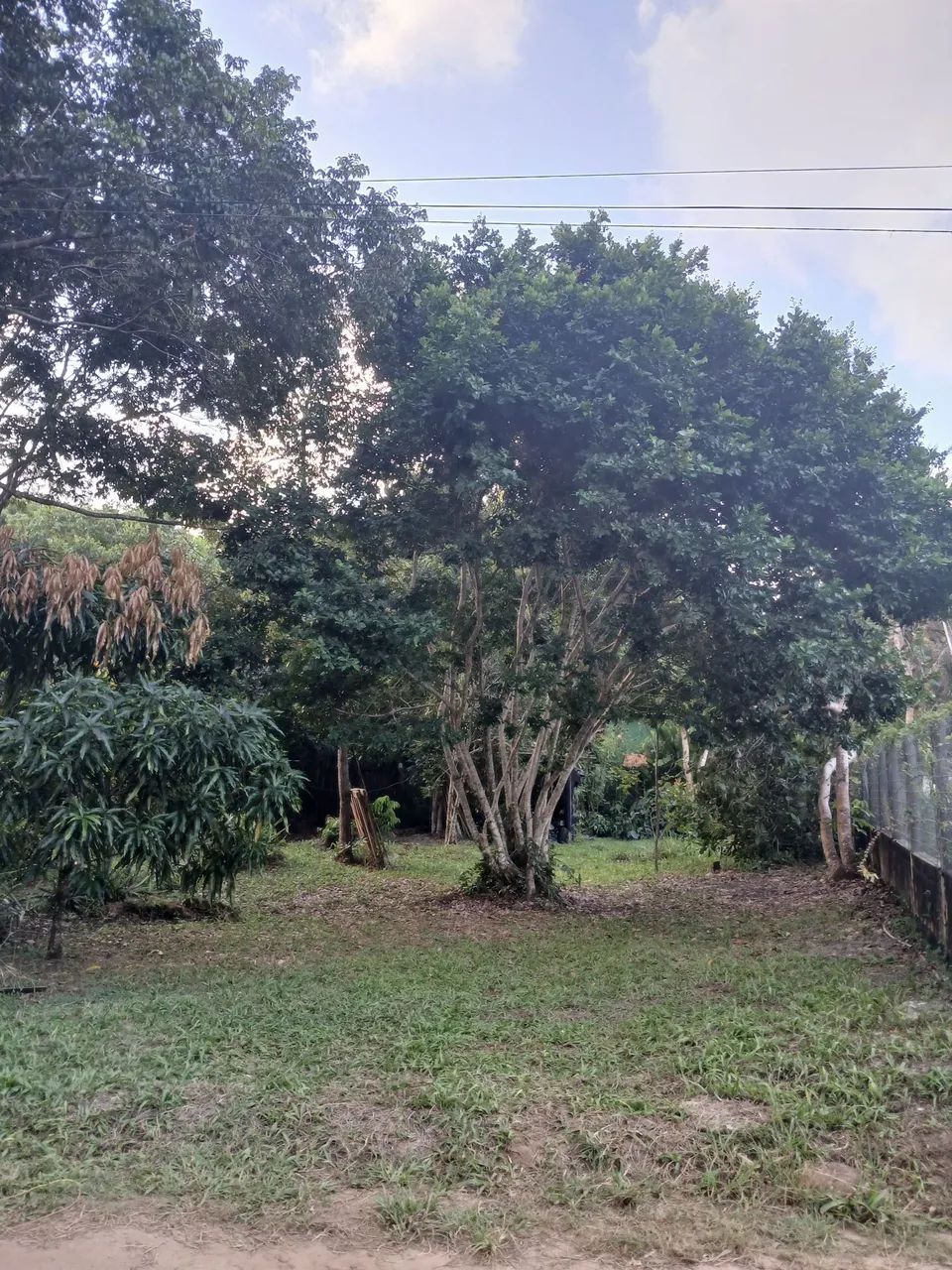 Terreno a venda praia do Sargi - Foto 5