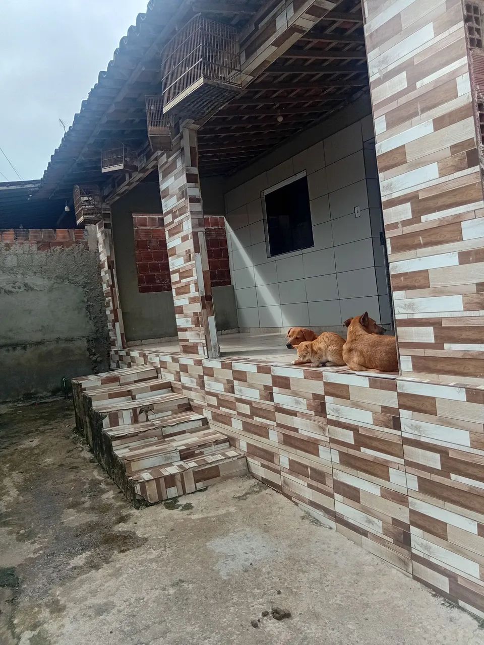 Casa em paudalho  - Foto 2