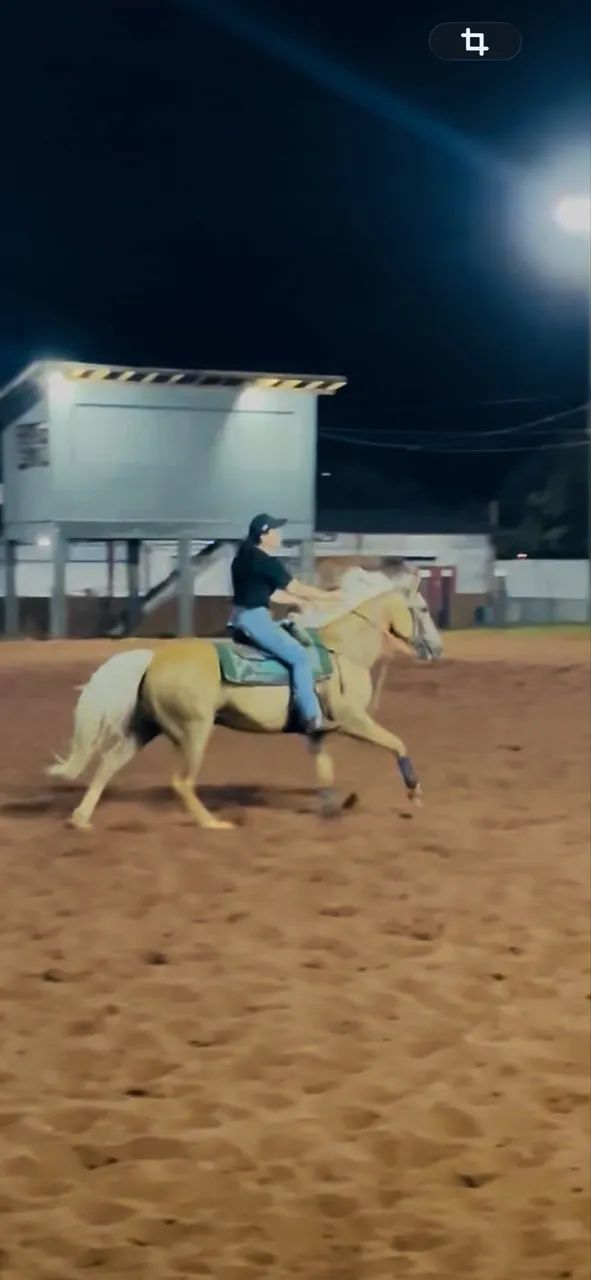 Cavalo QM Três tambores 