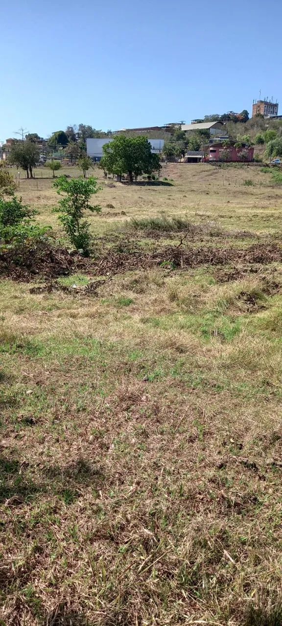 Terreno 10.000 m2 - Foto 3
