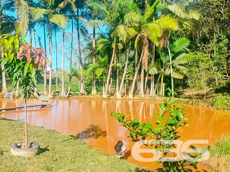 Chacará | Barra Velha | Escalvado - Foto 3