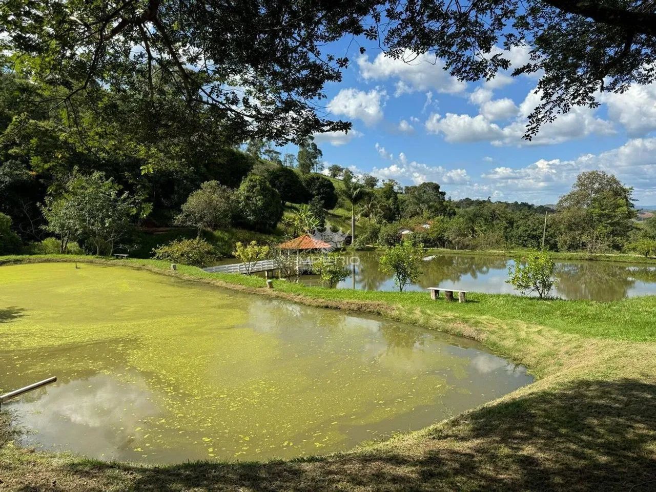 FAZENDA PÉ DA SERRA 94HECTARES EM CLÁUDIO - Foto 2