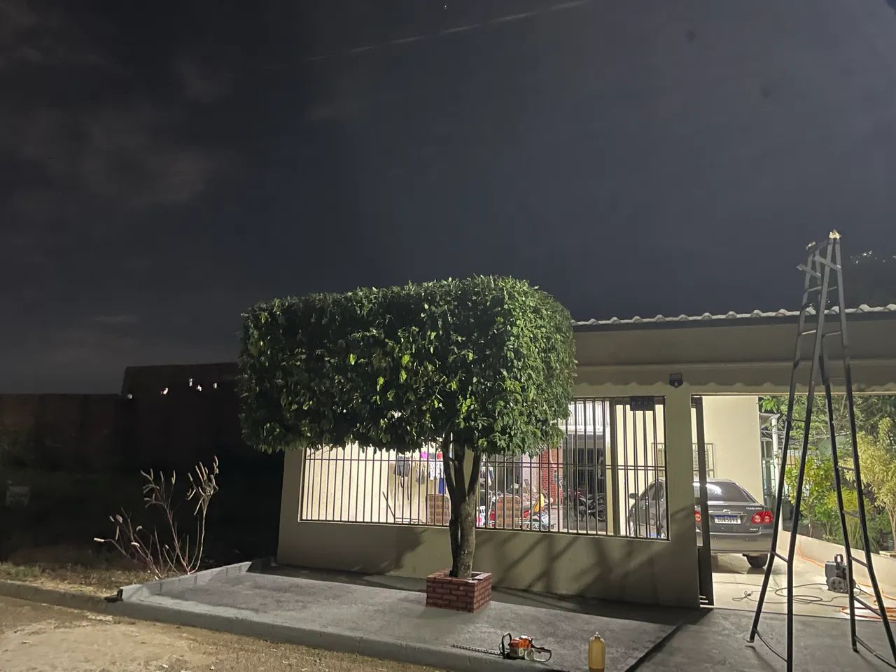 Serviço de jardinagem em geral  - Foto 2