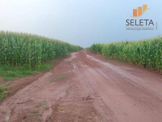Fazenda à venda, * m² por R$ 125.000.000 - Vila Bom Jardim - Nobres/MT - Foto 4