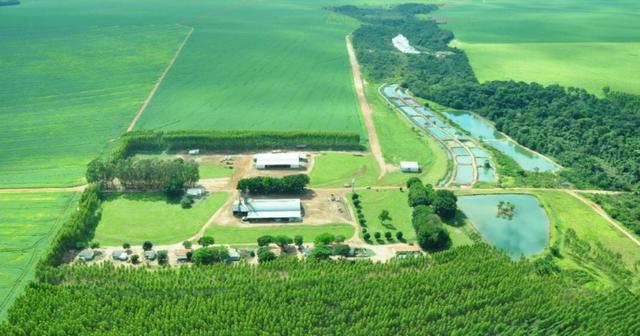 5200 HA arrendamento Primavera do Leste MT P/SOJA