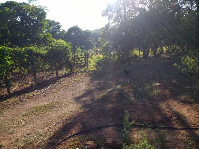 Chácara Goiânia Margem BR-153 (Pista Dupla) - Foto 9