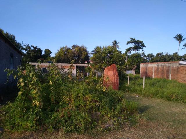 Terreno - Foto 5
