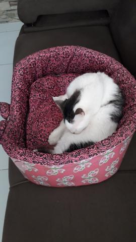 Caminha para pet - Foto 3