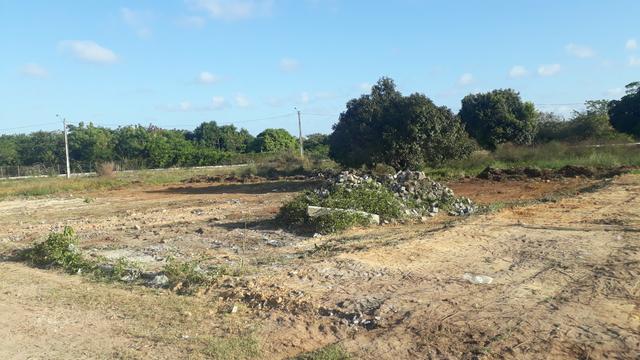 Terreno - Foto 3