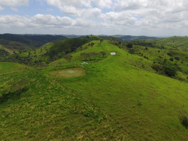 Fazenda 400 Hectares - 5 Nascentes no Município de Colonia - Foto 19