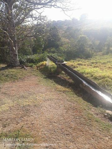 Fazenda Cultura entre Goiás e Mossamedes! - Foto 14