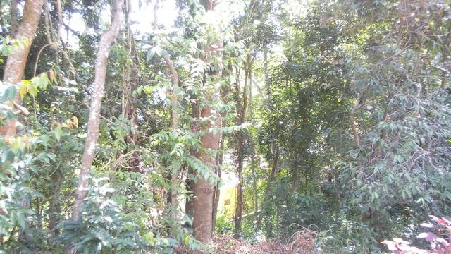 Terreno em bairro nobre de Teresópolis - Foto 3