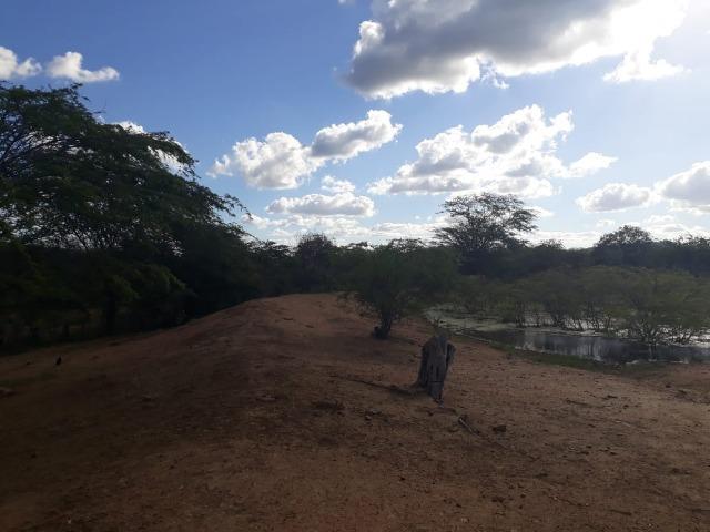 Excelente propriedade de 828 hectares, em Santa Cruz do Capibaribe - Foto 18
