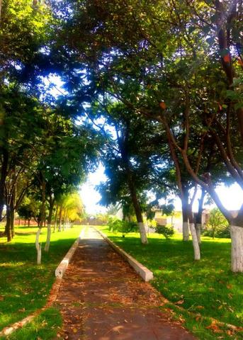 525 m2 Terreno em Condomínio Fechado Alto Padrão - Foto 5