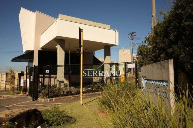 Terreno à venda, 386 m² por R$ 240.000,00 - Condomínio Picollo Villaggio - Louveira/SP - Foto 11