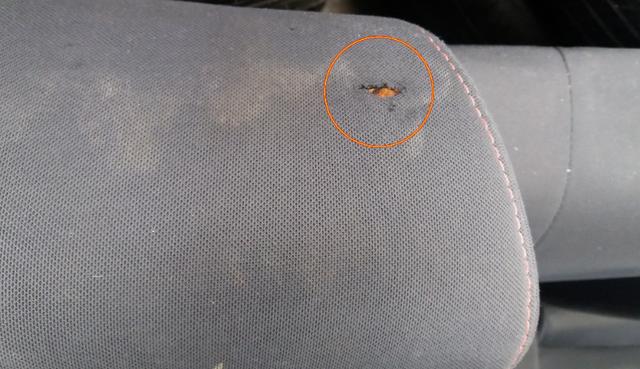 Jogo de bancos Kia Cerato 2010 2011 com detalhes - Foto 3