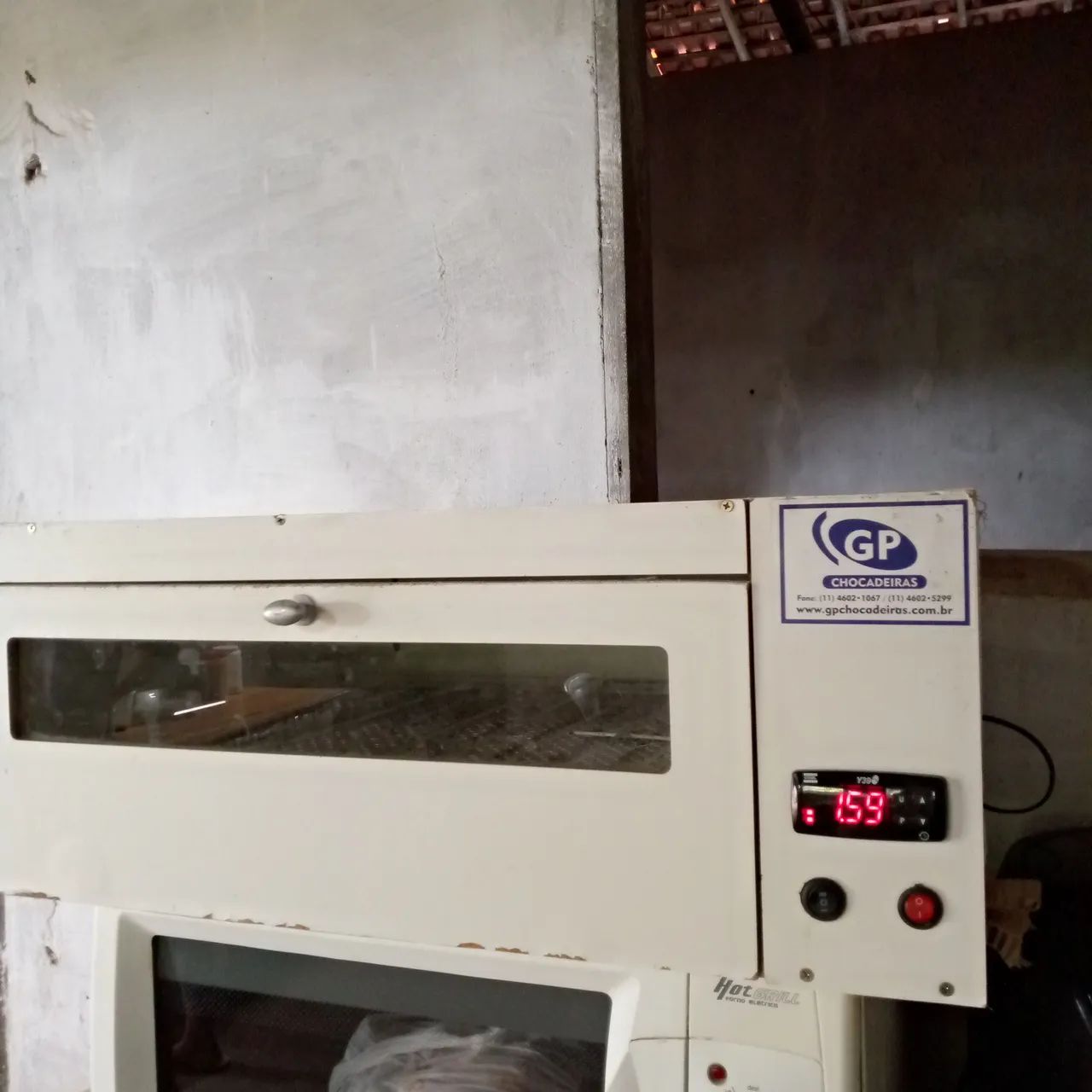 Chocadeira para ovos de galinha - GP Chocadeiras - Foto 5