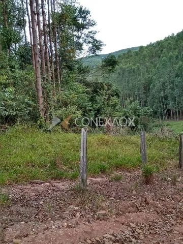 fazenda - Jacutinga - Jacutinga - Foto 5