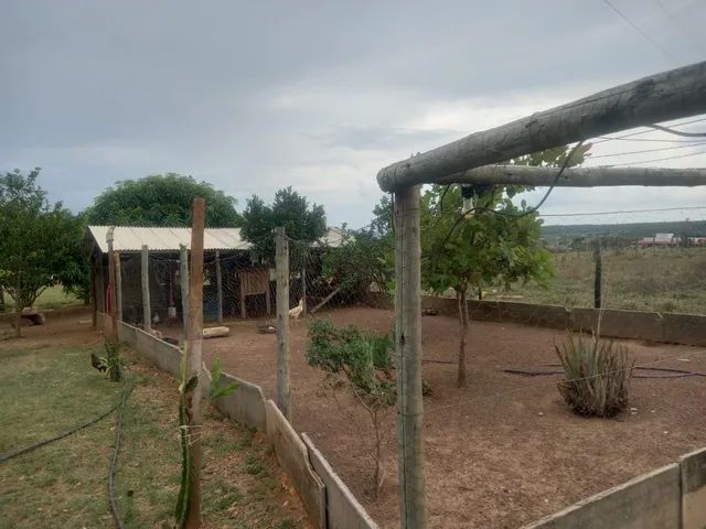 VENDO CHÁCARA EM JOANAPOLIS  - Foto 6