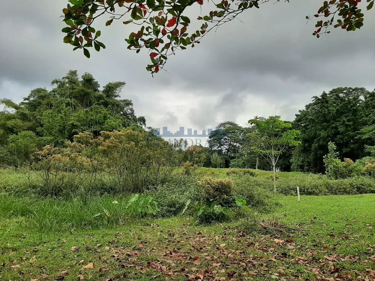 Guaratiba | Terreno - Foto 5