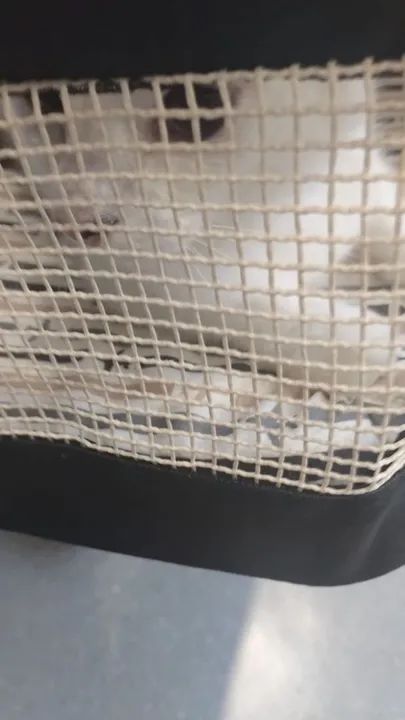 Caixa de transporte para viagem de avião, padrão para vôo da companhia azul - Foto 3