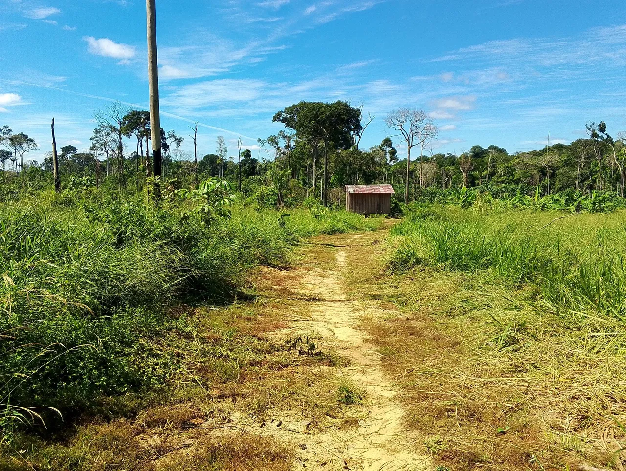 Propriedade rural