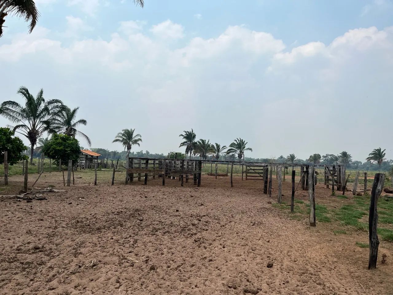 Fazenda disponível, São Domingos do Araguaia. - Foto 4