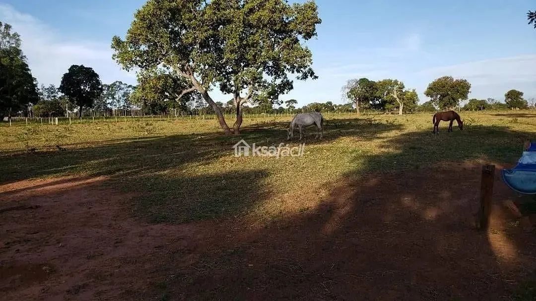 Chácara Residencial à Venda, Chácara Das Mansões, Campo Grande - . - Foto 5