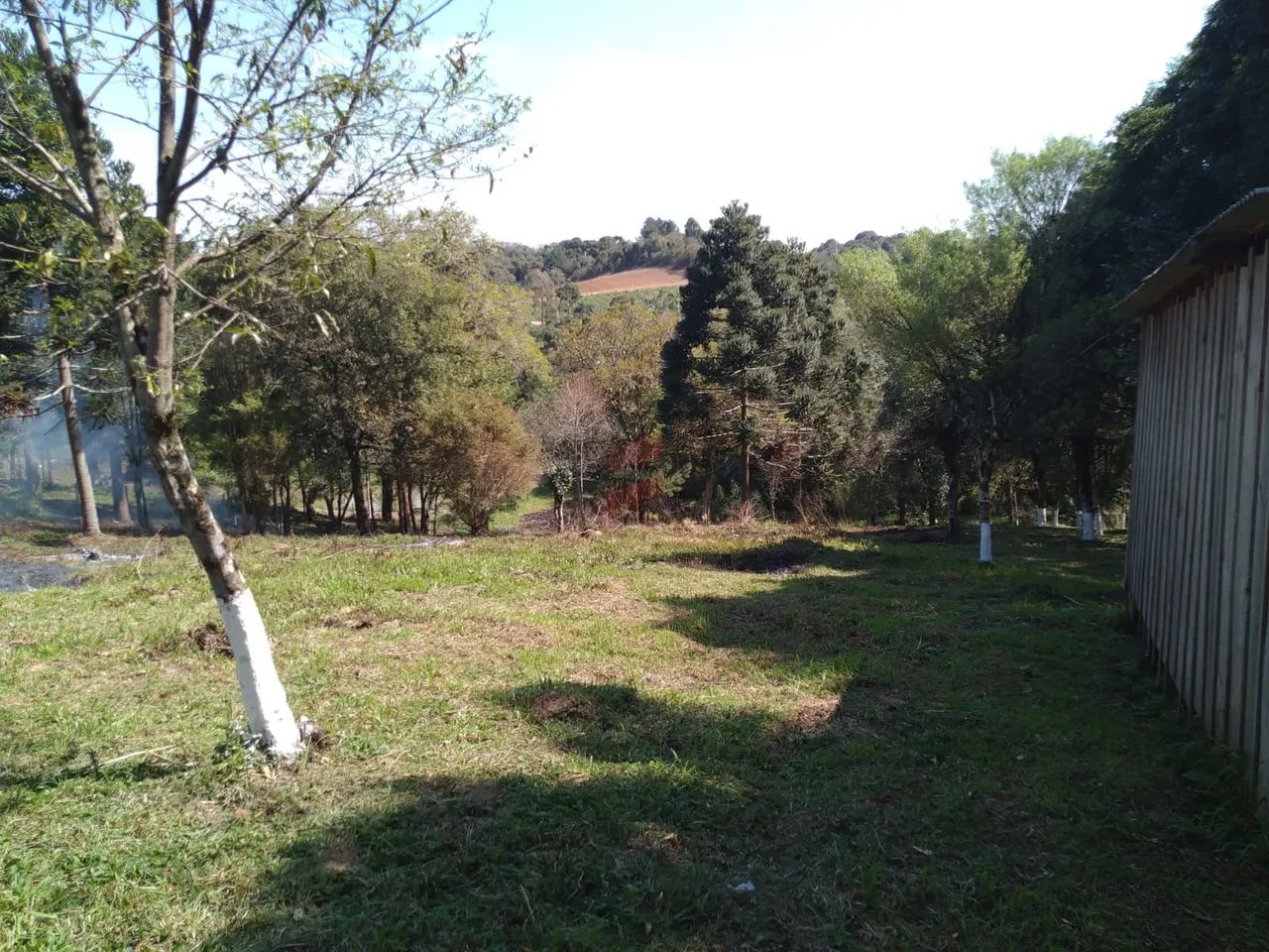 CHÁCARA à venda com 4840m² por R$ 110.000,00 no bairro Areia Branca - MANDIRITUBA / PR - Foto 6