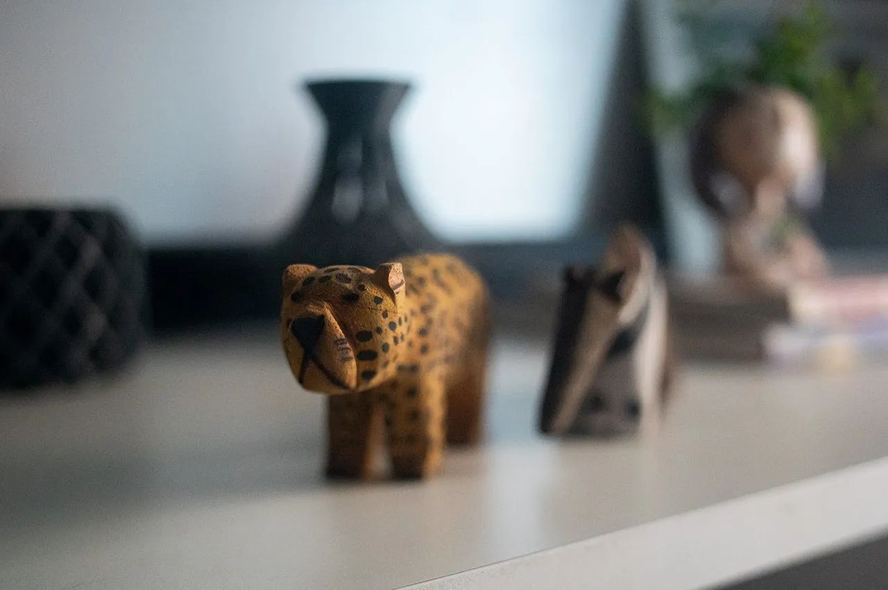 Lente Canon FD 35mm f/2.8 Tilt-shift - Foto 5