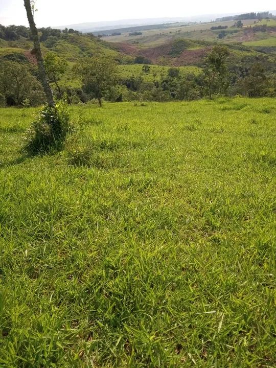 Vende se Fazenda em Patos de Minas  - Foto 5