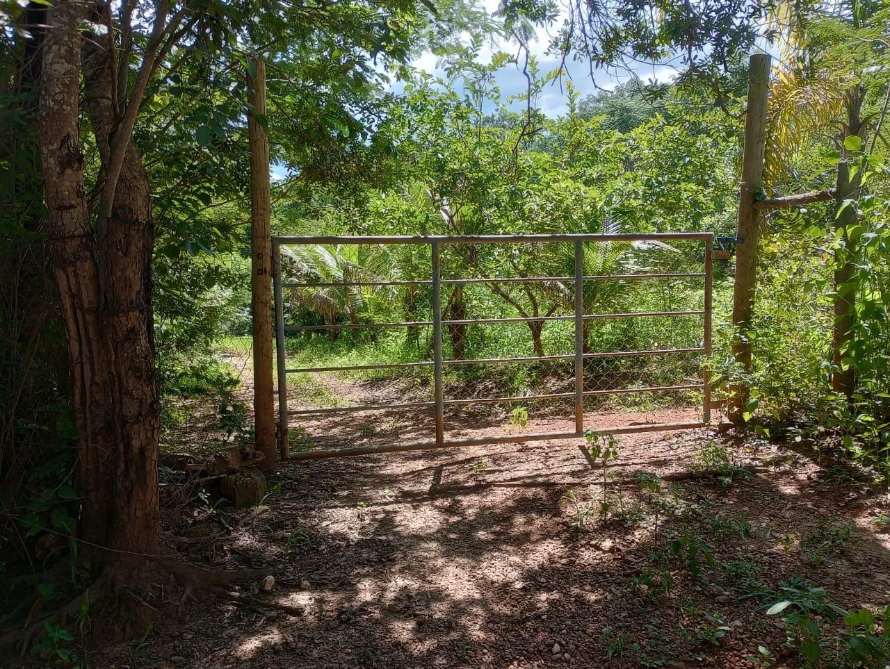 Chácara a 35 km de moc - Foto 13