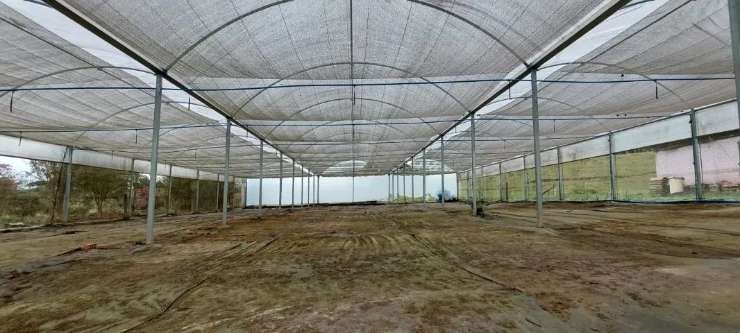 Estufa Agrícola 21x30 (630 m²). Altura livre sob arco 2,70m e vão de 3m. - Foto 2