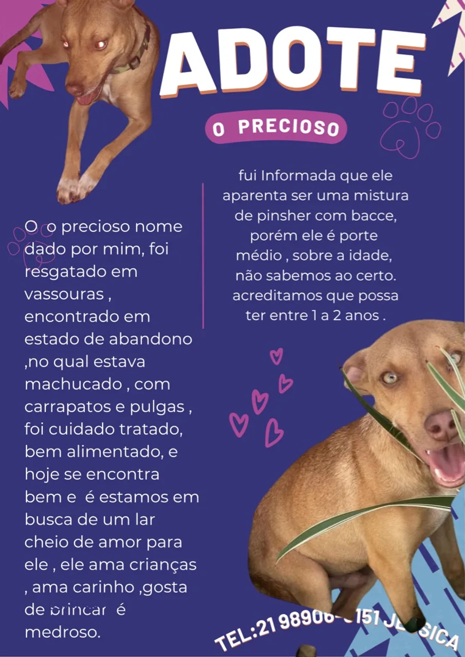 Doação de pet Srd