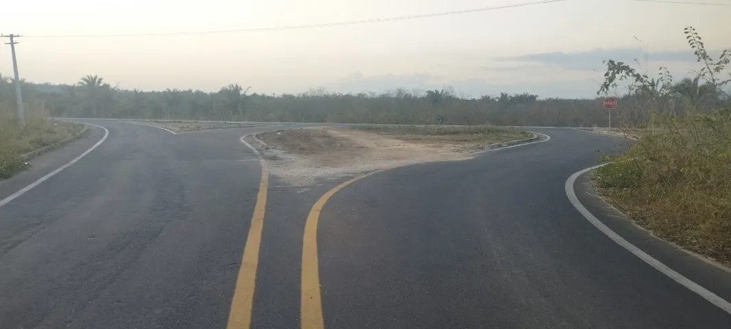 BOM PARA INVESTIDOR VENDO 78 HECTARES