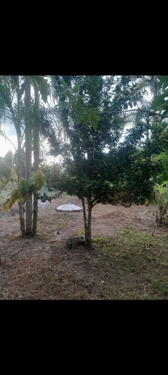 Terreno 10×30  - Foto 5