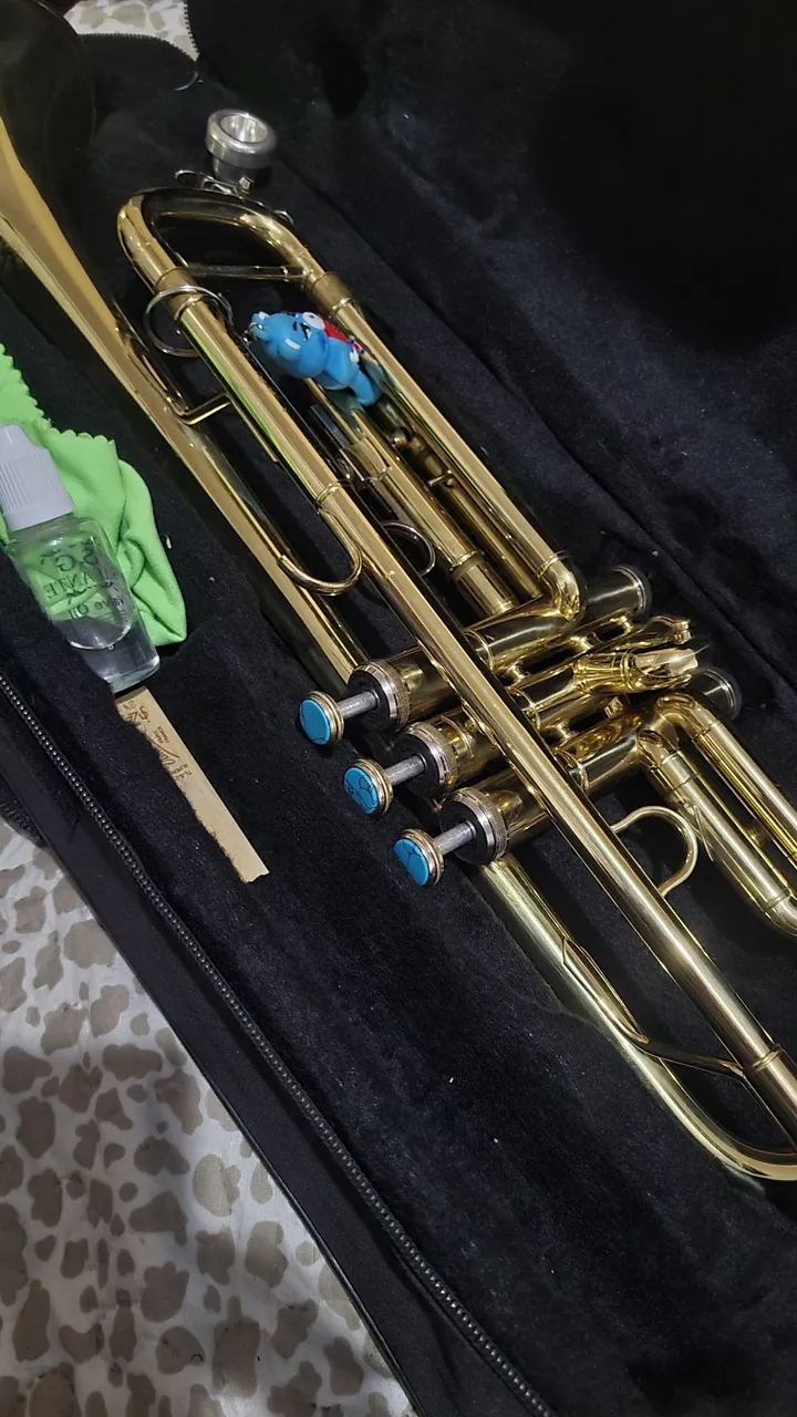 Trompete Dourado laqueado novo
