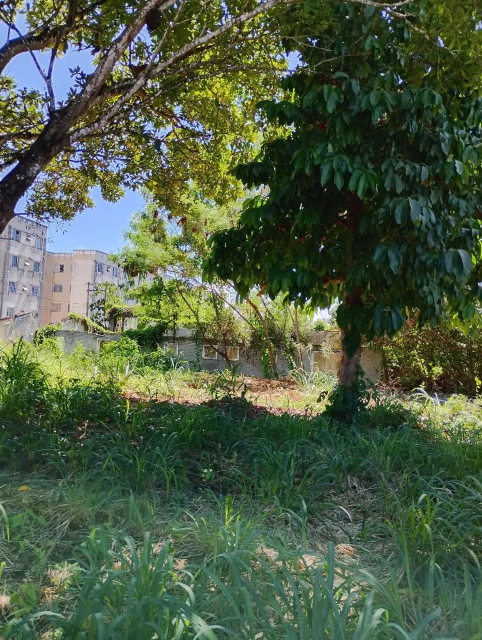 Vendo Terreno na Estrada do Côco  - Foto 4