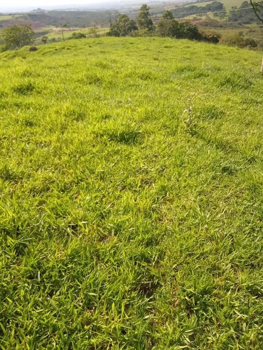 Vende se Fazenda em Patos de Minas  - Foto 4