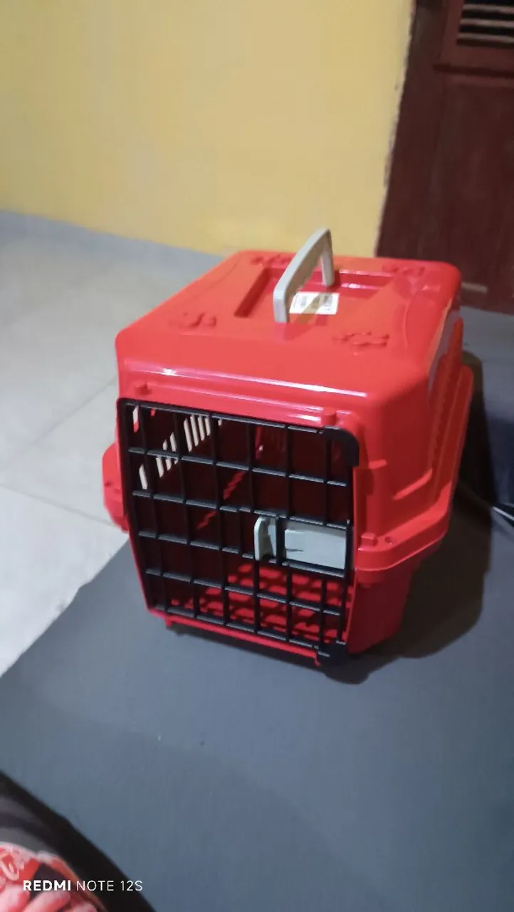 Transporte para pet - Seguro e confortável