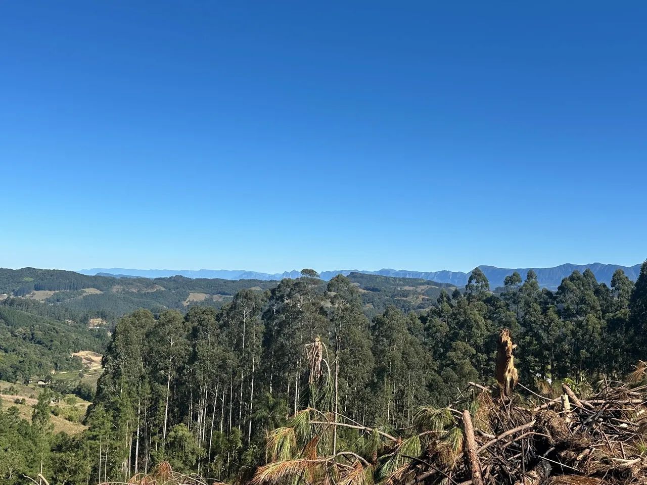 Vendo sítio  - Foto 4