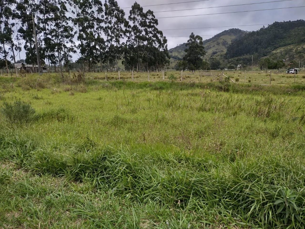 Na BR101, Imbituba. 40.000m2, plano, bom acesso.