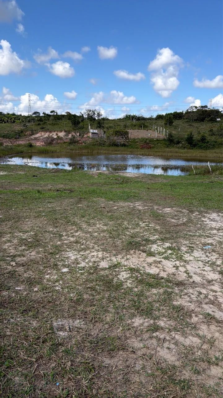 Tenha seu Sítio Próprio - Foto 3