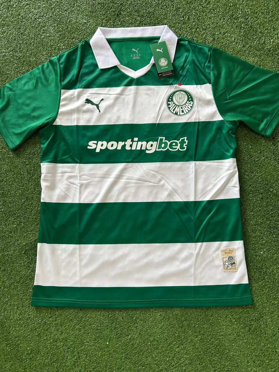 Palmeiras Edição especial  - Foto 4