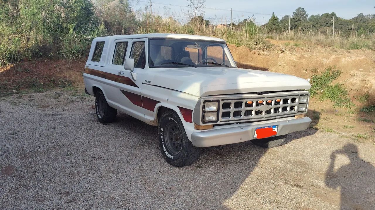 Ford F-1000 2013
