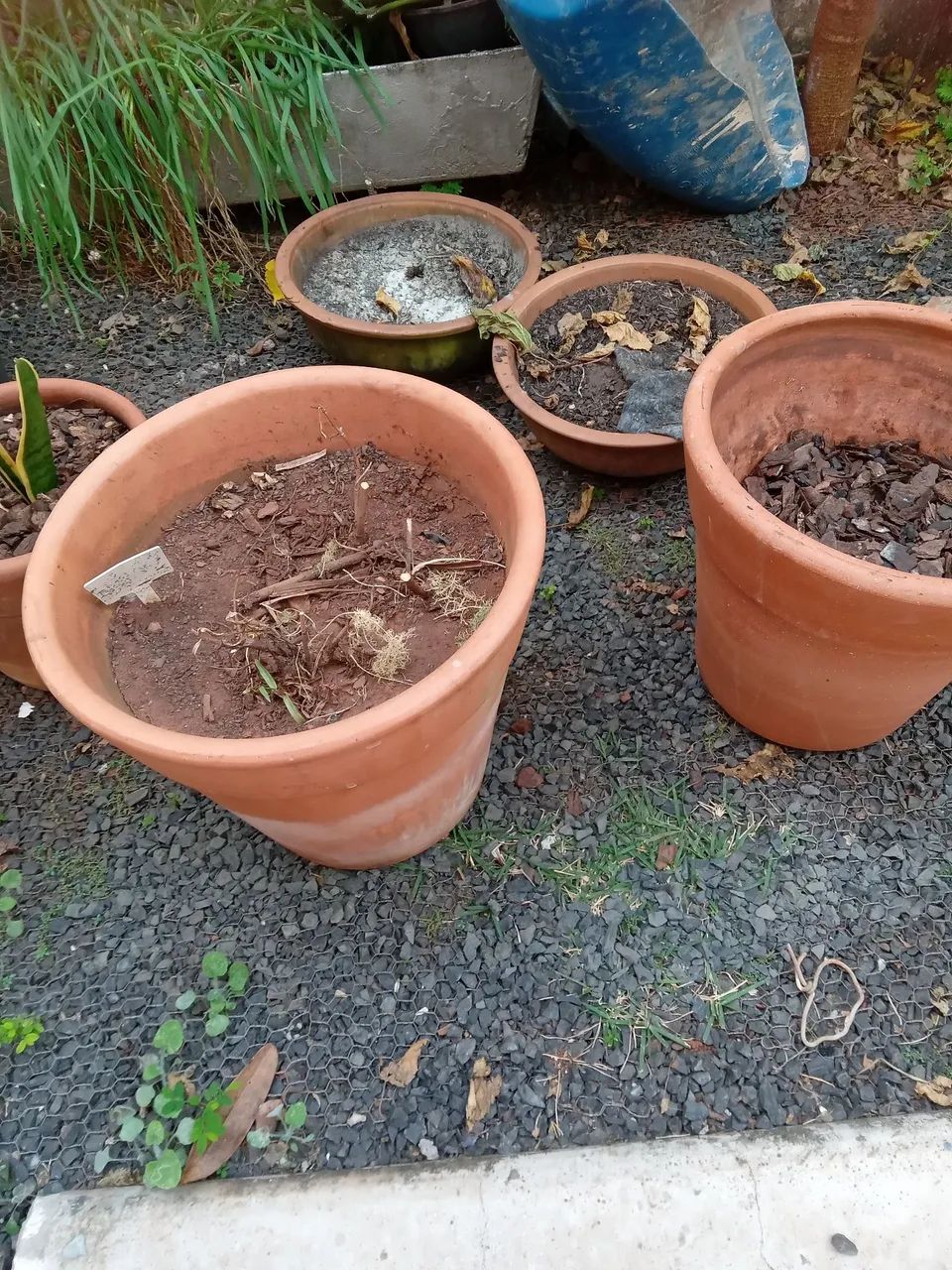 Vasos para plantas 