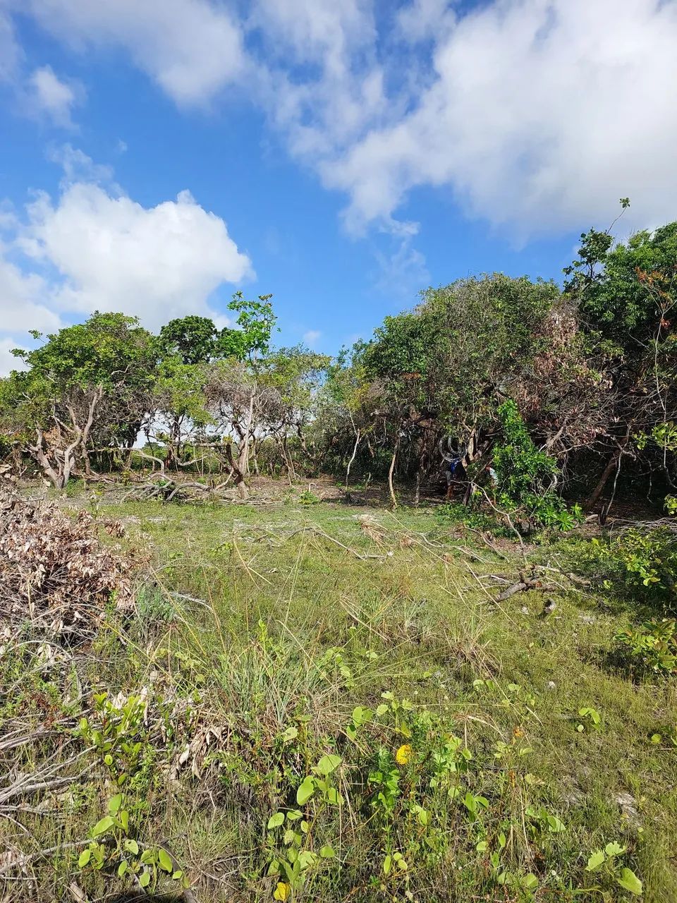 Vendo ou troco terreno em Santo Amaro - Foto 4